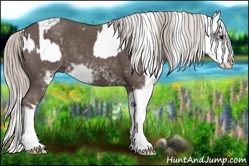 Horse Color:Silver Black Sabino and Silver Black Sabino Splash