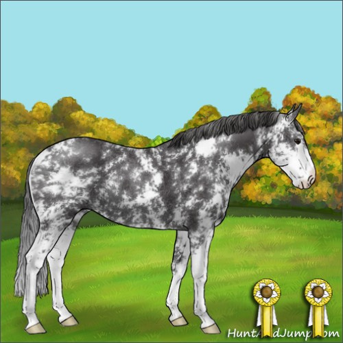 Horse Color:Smoky Black Sabino Rabicano 