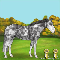 Horse Color:Smoky Black Sabino Rabicano 