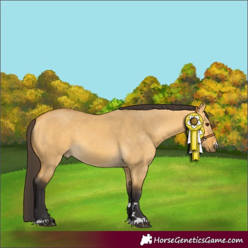 Horse Color:Buckskin Dun 
