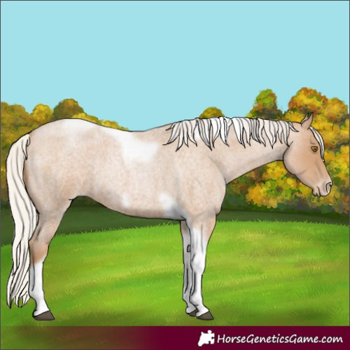 Horse Color:Silver Blue Roan Pearl Tobiano Frame 