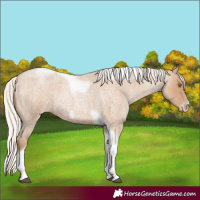 Horse Color:Silver Blue Roan Pearl Tobiano Frame