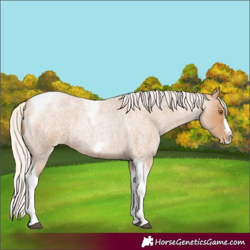 Horse Color:Silver Blue Roan Pearl Tobiano Frame 