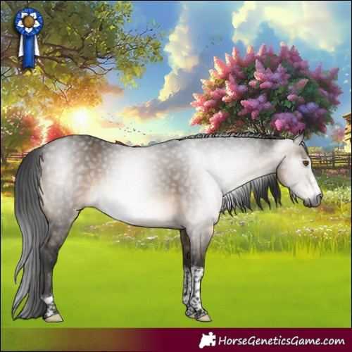Horse Color:Gray Brown Dun Sabino Tobiano Rabicano 