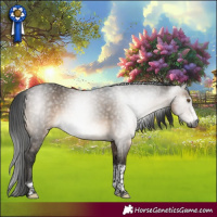 Horse Color:Gray Brown Dun Sabino Tobiano Rabicano 
