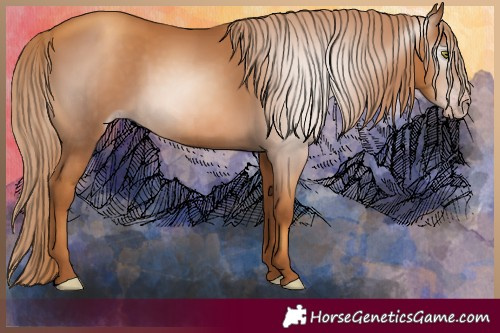 Horse Color:Gray Gold Champagne 