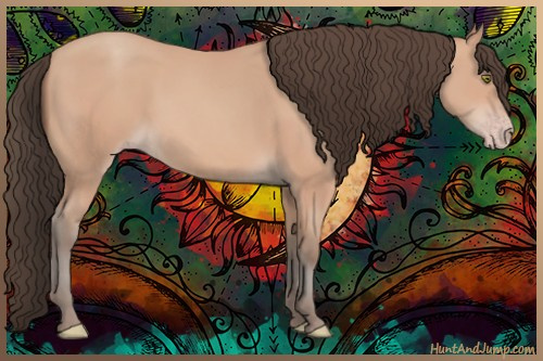 Horse Color:Amber Champagne 