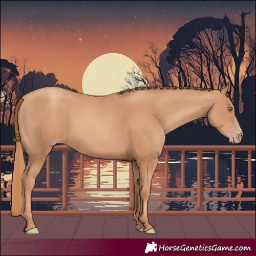 Horse Color:Gold Champagne 
