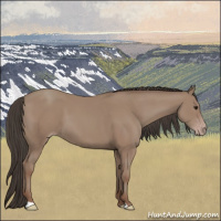 Horse Color:Classic Champagne