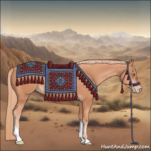 Horse Color:Gold Champagne Tobiano 