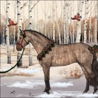 Horse Color:Brown Dun and Liver Red Dun