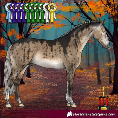 Horse Color:Gray Silver Brown Dun Sabino Tobiano Rabicano Brindle 