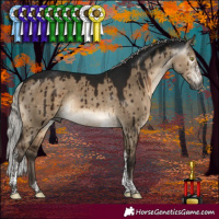 Horse Color:Gray Silver Brown Dun Sabino Tobiano Rabicano Brindle 