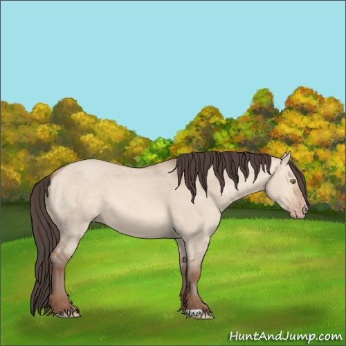 Horse Color:Amber Champagne Dun 