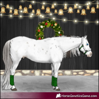 Horse Color:Smoky Blue Onyx Sabino Splash Appaloosa 