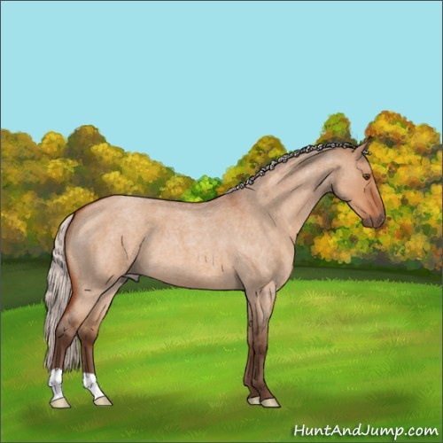 Horse Color:Silver Bay Roan Dun 
