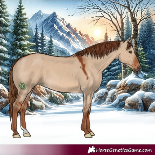 Horse Color:Red Dun 