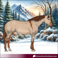 Horse Color:Red Dun 
