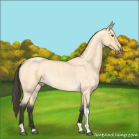 Horse Color:Buckskin Roan Dun Tobiano 
