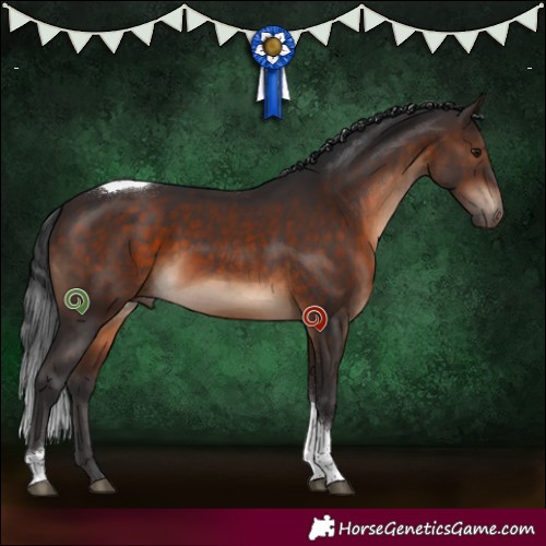 Horse Color:Brown Tobiano 