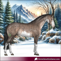 Horse Color:White Spotted Brown Dun 