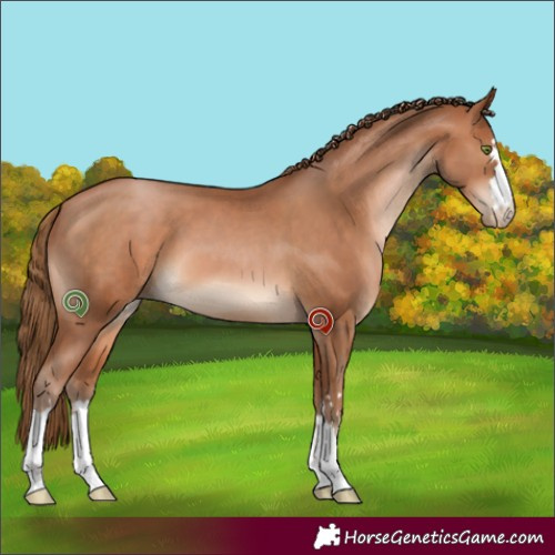Horse Color:Brown Pearl 