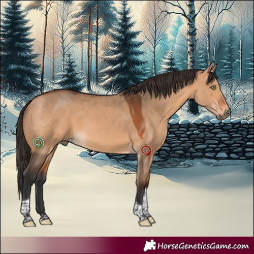 Horse Color:White Spotted Bay Dun Tobiano 