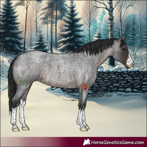 Horse Color:White Spotted Brown Roan 