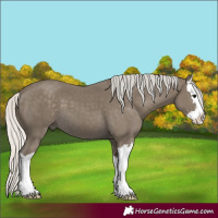 Horse Color:Silver Smoky Black Splash 