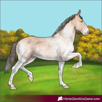 Horse Color:White Spotted Amber Champagne 