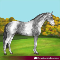 Horse Color:White Spotted Black Ice 