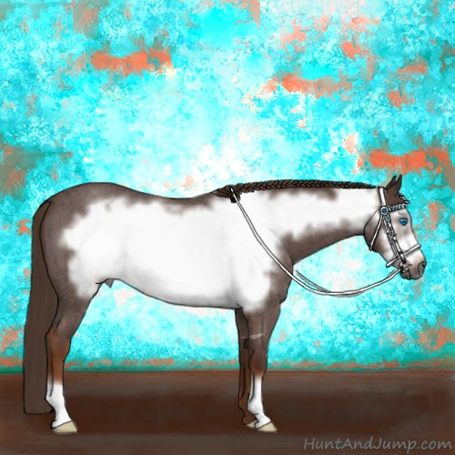 Horse Color:Gray Red Roan Frame 