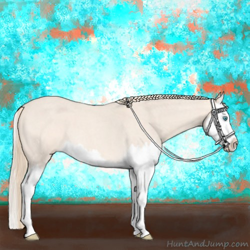 Horse Color:Perlino Roan Splash 