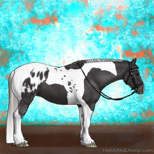 Horse Color:Smoky Black Tobiano Appaloosa 