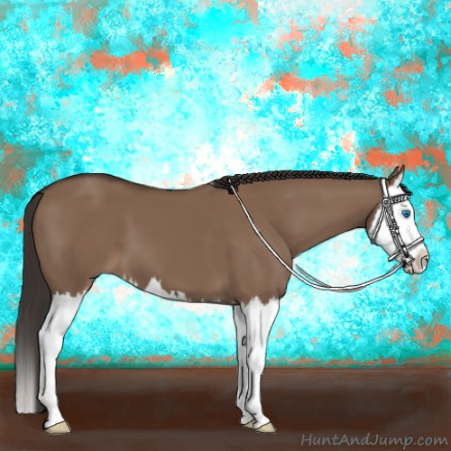 Horse Color:Liver Red Dun Splash 