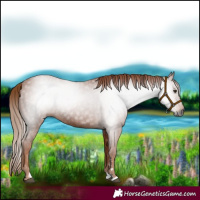 Horse Color:Gray Chestnut 