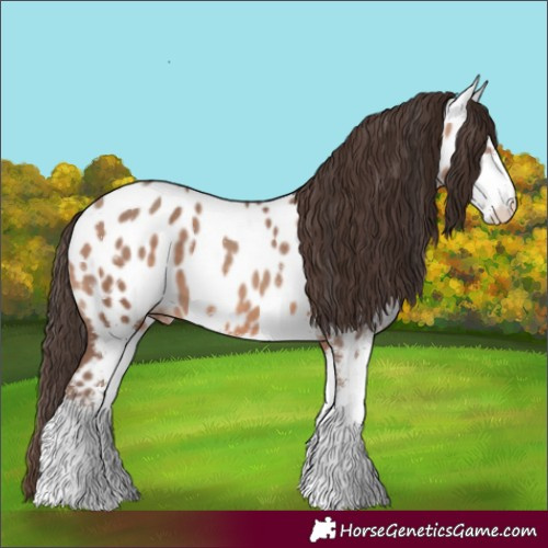 Horse Color:Amber Champagne Sabino Near Leopard