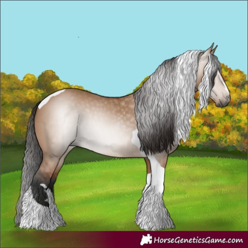 Horse Color:Gray Bay Dun Tobiano 