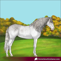 Horse Color:White Spotted Silver Smoky Black 