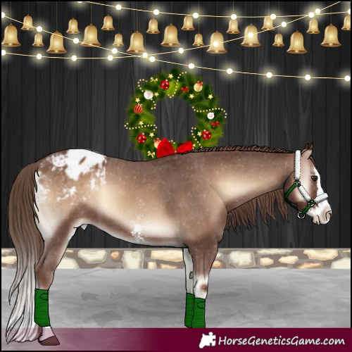 Horse Color:Red Onyx Sabino Splash Appaloosa