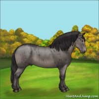 Horse Color:Smoky Grullo Brindle 
