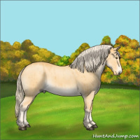 Horse Color:Palomino Dun Brindle 
