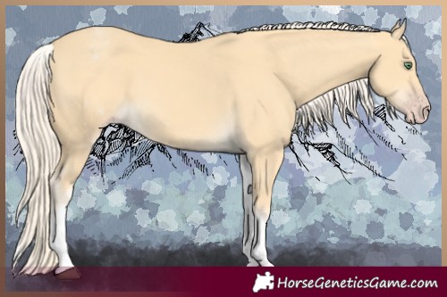 Horse Color:White Spotted Gold Cream Champagne 