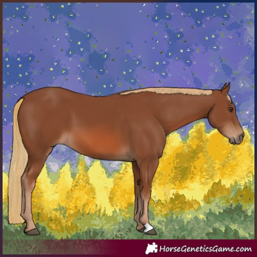 Horse Color:Chestnut 