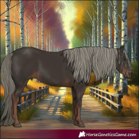 Horse Color:Liver Chestnut Mushroom 