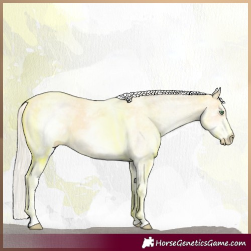 Horse Color:White Spotted Gold Cream Champagne 