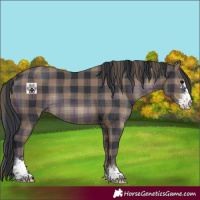 Horse Color:Plaid Black Sabino