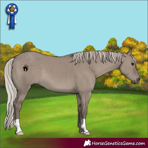 Horse Color:Silver Grullo 