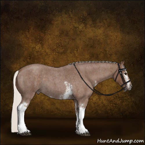 Horse Color:White Spotted Silver Blue Roan 