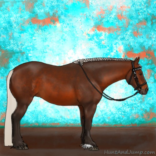 Horse Color:Gray Silver Bay 